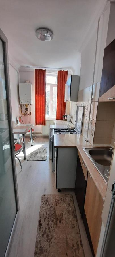 Bîrlad Apartament La Denis מראה חיצוני תמונה