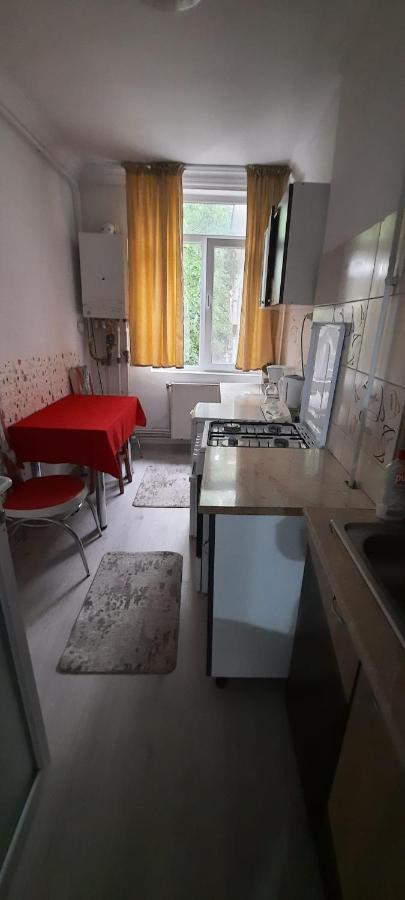 Bîrlad Apartament La Denis מראה חיצוני תמונה