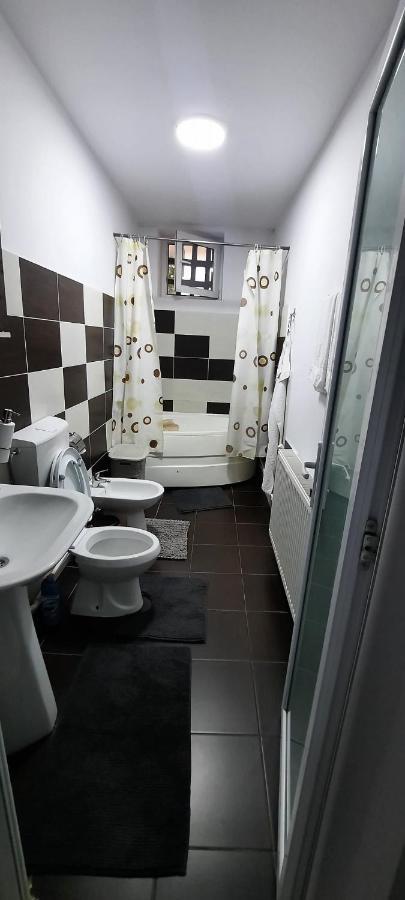 Bîrlad Apartament La Denis מראה חיצוני תמונה