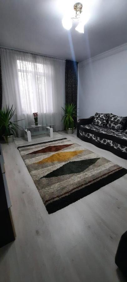 Bîrlad Apartament La Denis מראה חיצוני תמונה