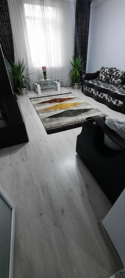 Bîrlad Apartament La Denis מראה חיצוני תמונה
